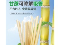 Biodegradable and Eco-Friendly Sugarcane Pulp Straws Individually Wrapped PLA-Free