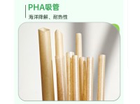 Biodegradable and Eco-Friendly Sugarcane Pulp Straws Individually Wrapped PLA-Free